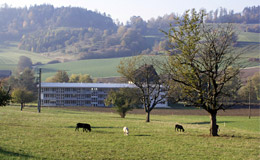 Bild von Schaffhausen