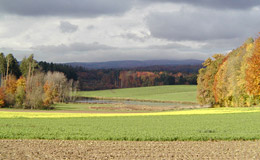 Bild von Schaffhausen