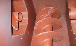 Bild von Schaffhausen